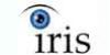 The Iris Organization